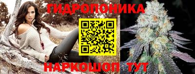 дмт Камышлов