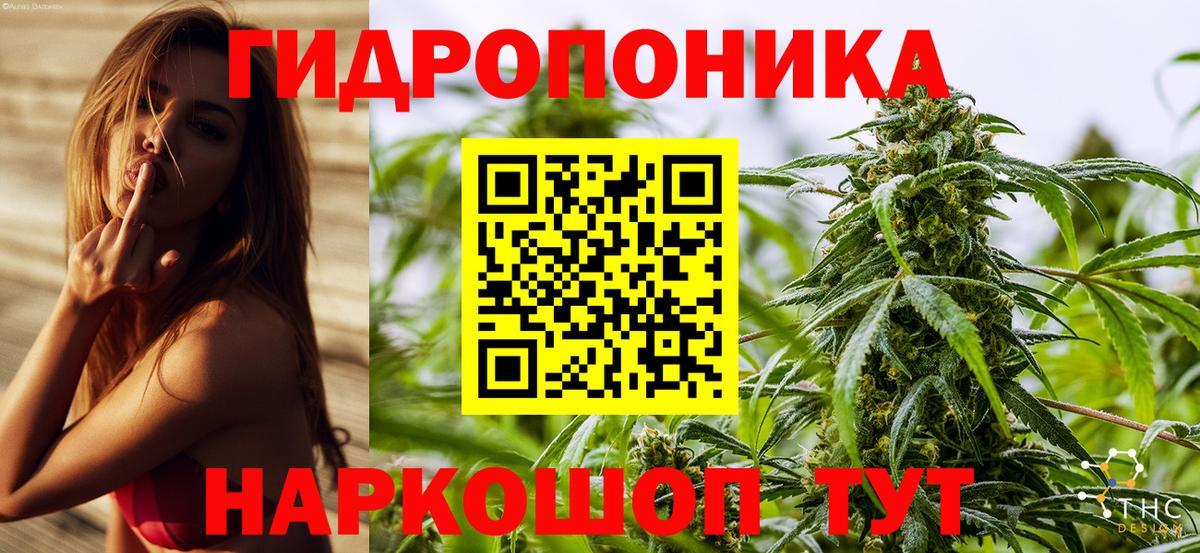 Лангепас  МАРИХУАНА SATIVA & INDICA  Вход с VPN  Шишки марихуана White Widow  Шишки марихуана тримм 